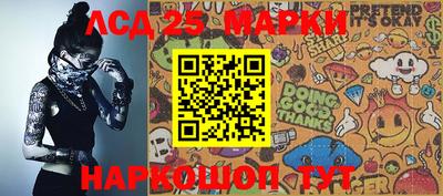 мет Камышлов