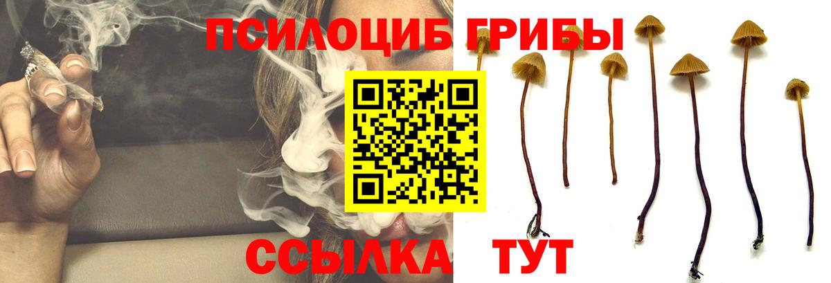 Саяногорск  Галлюциногенные грибы мицелий  где купить наркоту  Вход с VPN 
